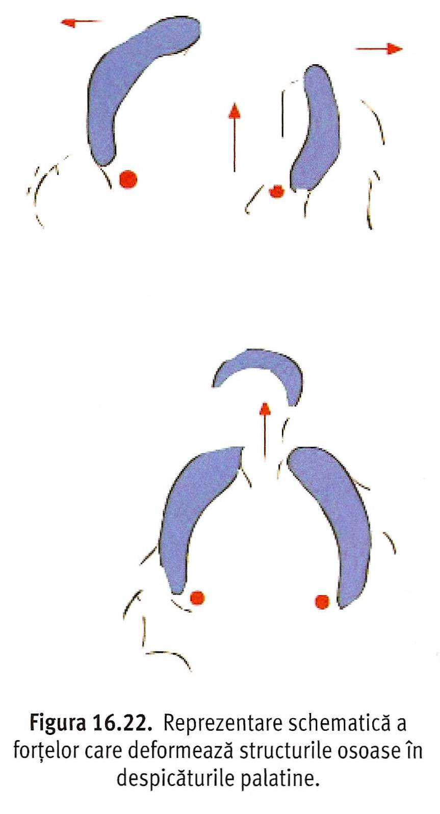 Post-operator