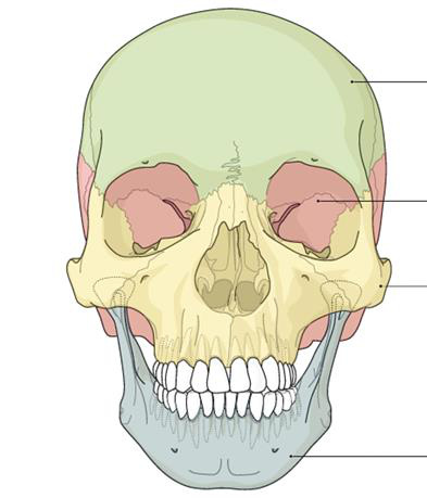 Hemangiopericitom